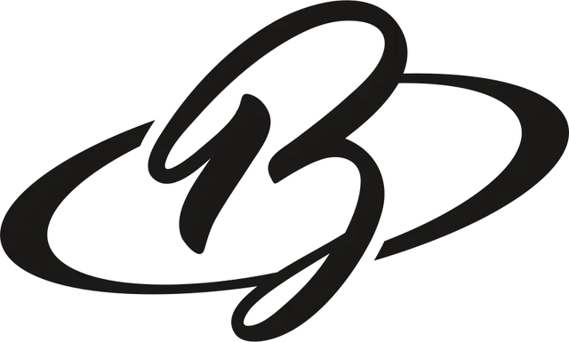 方案 A：手写 B 与环绕的椭圆