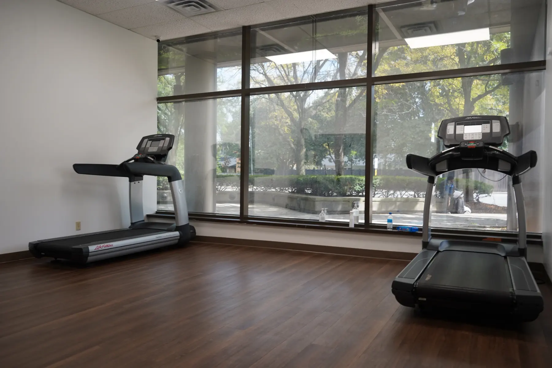 Two treadmills along the windows, trees outside