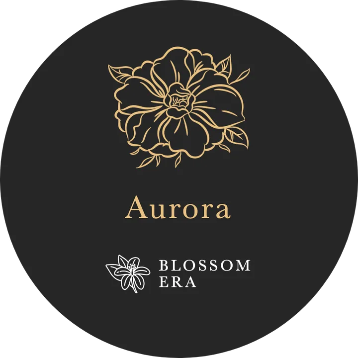 The Aurora lid: a gold drawing and the name on charcoal