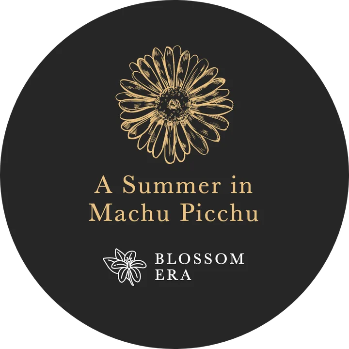 The A Summer in Machu Picchu lid: a gold drawing and the name on charcoal