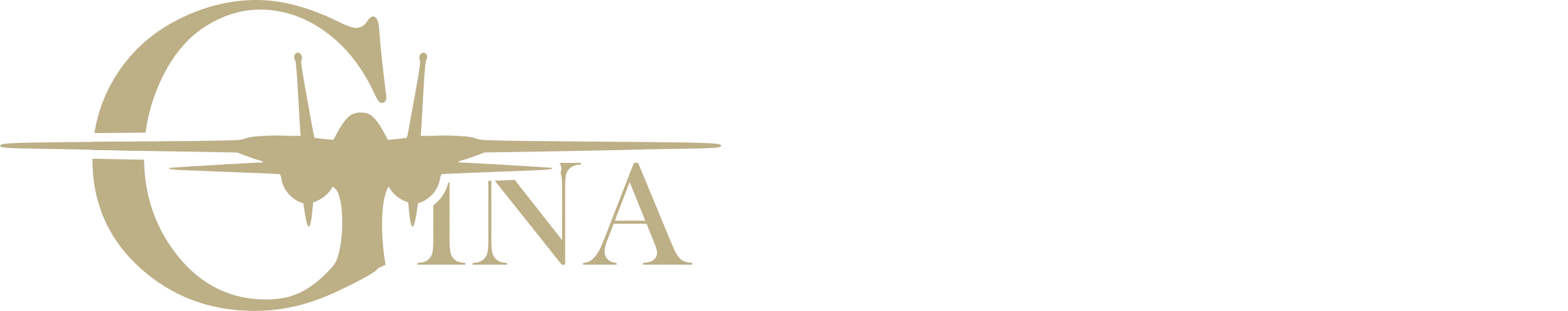 横版标志：金色 GINA 战斗机标与白色「地产战斗机 GINA | FIGHTER JET REAL ESTATE」