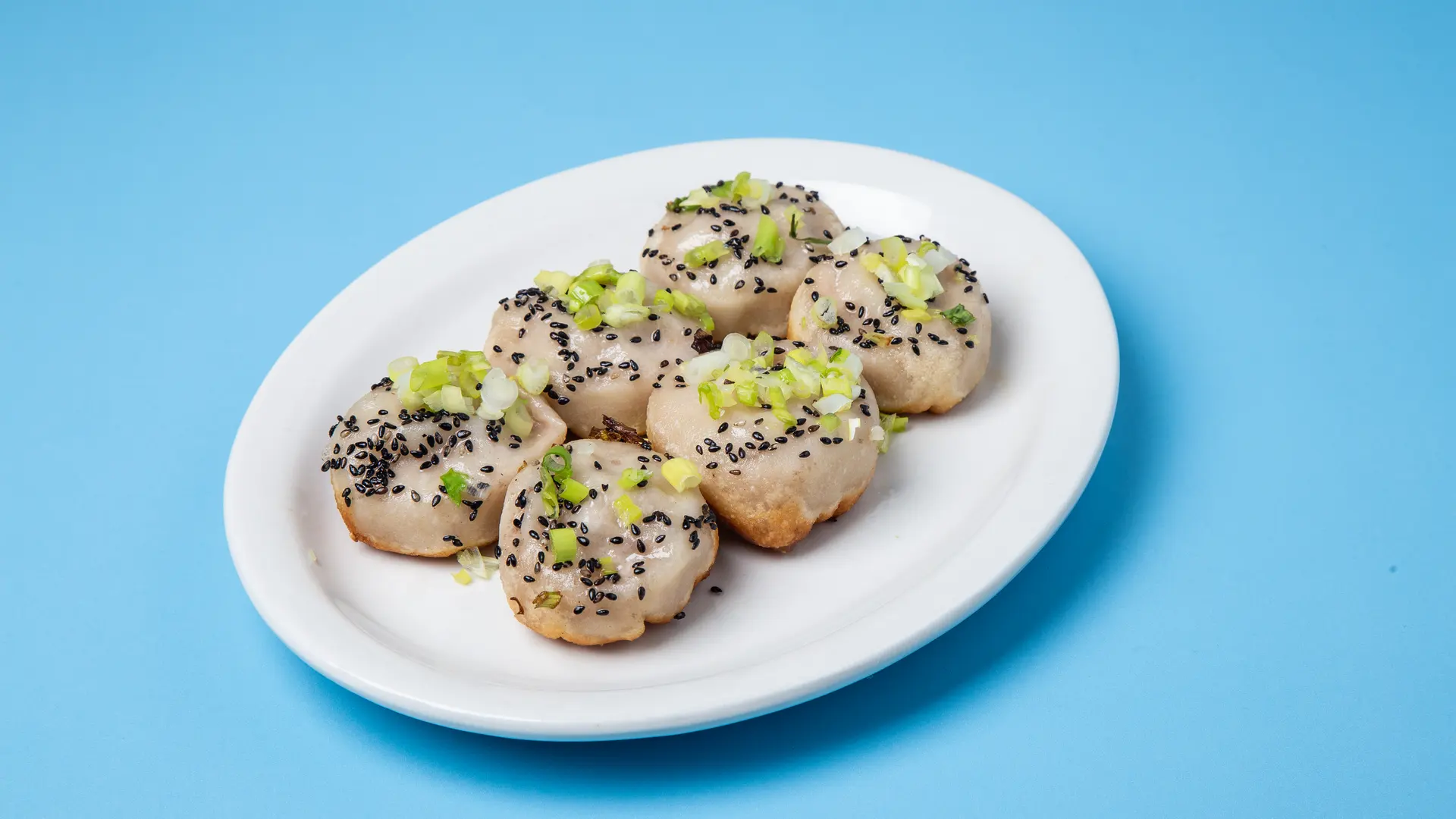 蓝色背景上，一盘撒着葱花和芝麻的生煎（餐厅拍摄）
