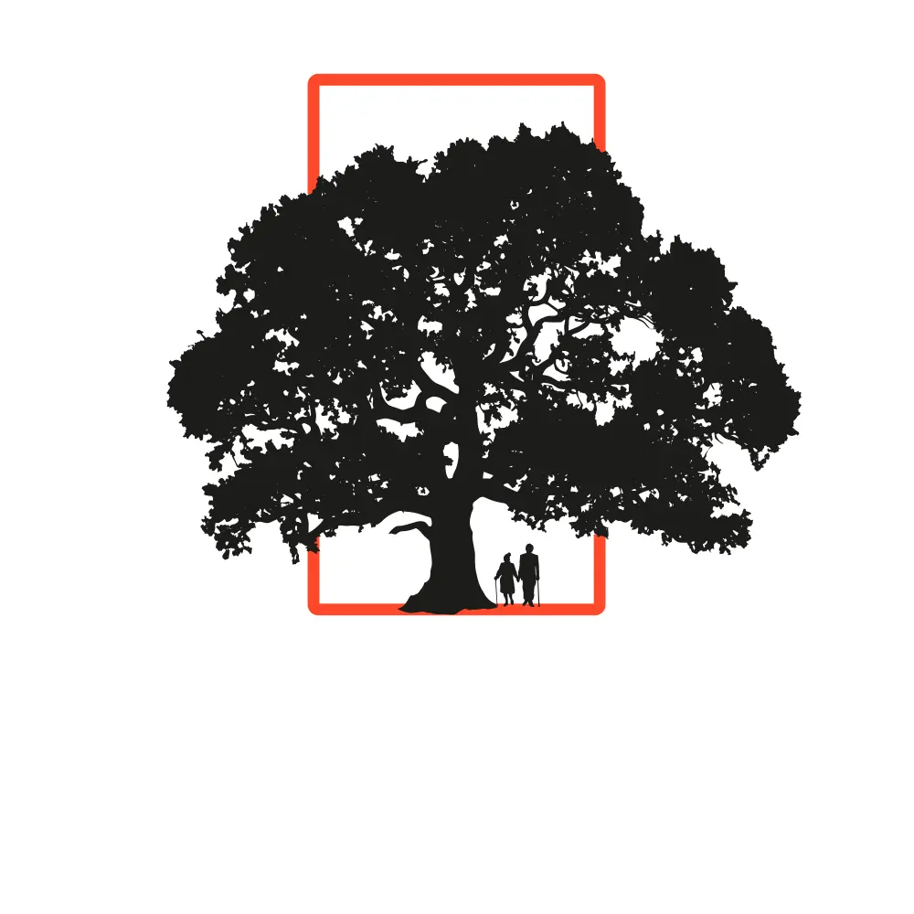Step two: the vermilion frame behind the oak, the canopy spilling past both sides