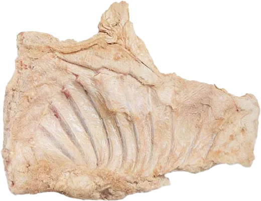 A freeze-dried rabbit rib