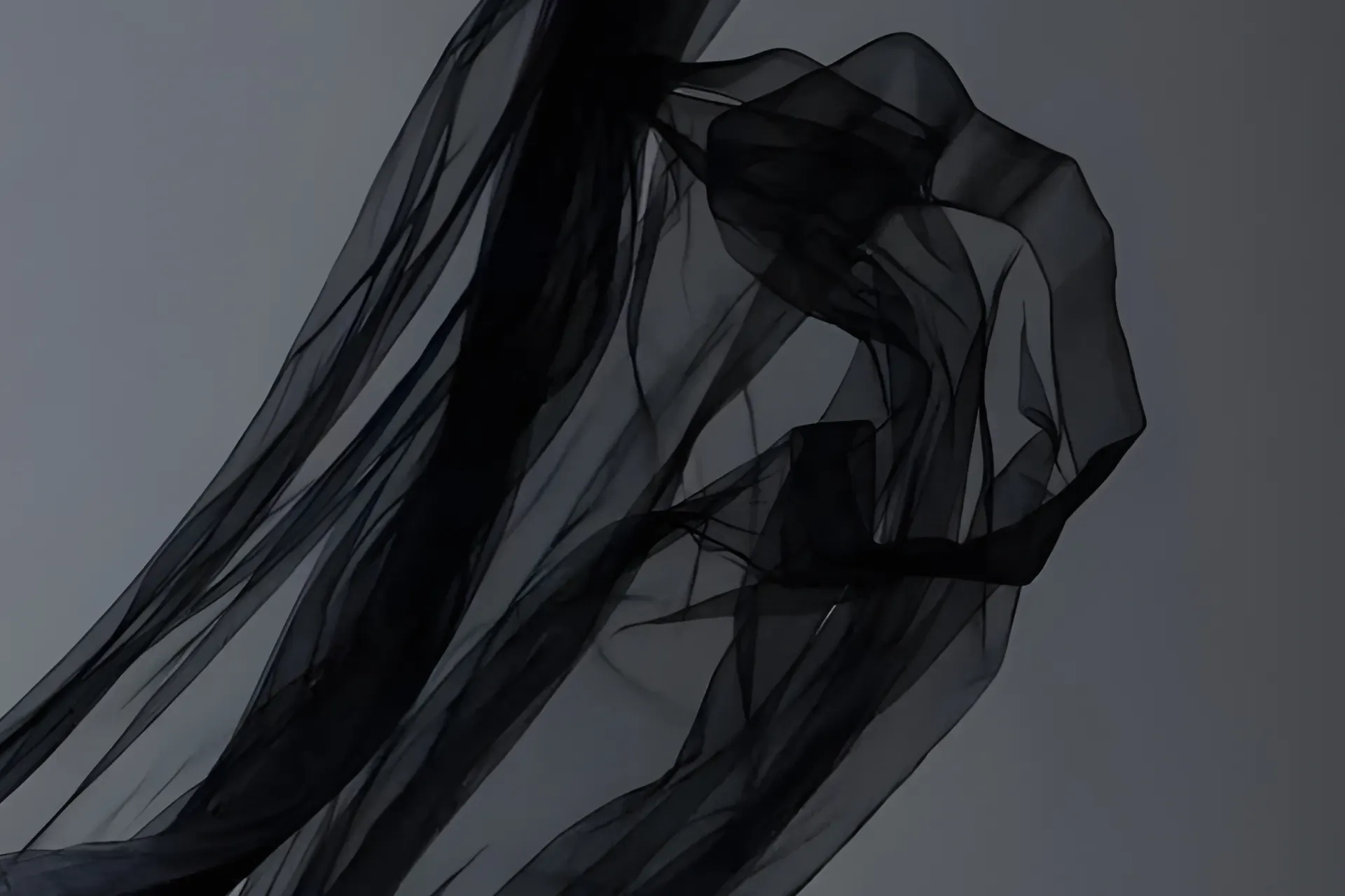 Black organza turning against a grey studio backdrop (cropped from the 2023 competition shoot; no model in frame)