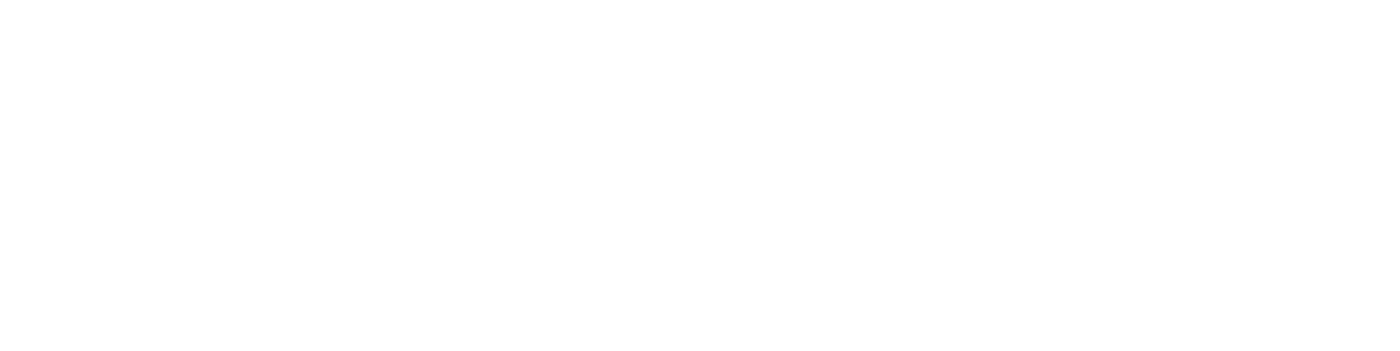 Skyreach Group Inc.